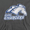 University of Alabama Huntsville Official Distressed Primary Adult Pull-Over Hoodie - 2 of 4