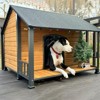 Aivituvin Weatherproof Dog House with Iron Frame| Extended Asphalt Roof|Spacious Balcony-AIR7010 - image 2 of 4