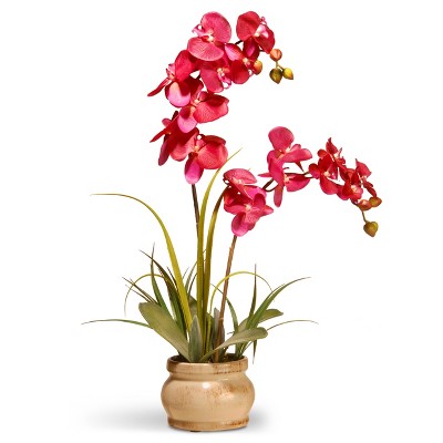 Artificial Orchid in Ceramic Pot Pink 24" - National Tree Company