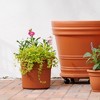 Bloem Posy Round Resin Planter Pot Indoor and Outdoor Gardening - 2 of 4
