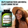 HealthA2Z – Ashwagandha 7000 mg with Magnesium Glycinate & Ergothioneine – 120 Capsules - 3 of 4