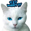 Junior's Design By Humans Cat grumpy face: Say What?! By GTRobert T-Shirt - 2 of 3