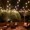 Costway 48FT LED Outdoor Waterproof Commercial Grade Patio Globe String Lights Bulbs - 4 of 4