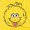 Toddler Boys' Sesame Street Big Bird Full Face T-Shirt - 2 of 3