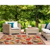 Liora Manne Ravella Floral Indoor/Outdoor Rug.. - 3 of 4