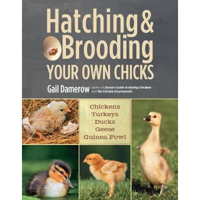 Hatching & Brooding Your Own Chicks - by  Gail Damerow (Paperback)