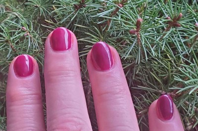 Guest review image 1 of 1, zoom in