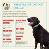 Country Brook Petz Deluxe Dog Collar - Geek Chic Collection - Made in The U.S.A. - 4 of 4
