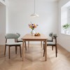 Dsvimoy Accent Chair Dining Chair Set with Walnut Solid Wood Legs for Kitchen and Living Room, Light Green, 38"*24"*12" - 2 of 4