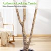 Swtroom 7FT Tall Artificial Olive Tree for Home Office Decor, With White Tall Planter, Artificial Plants with Natural Wood Trunk and Lifelike Fruits - 3 of 4