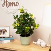 Northlight 1.9' Unlit Artificial Potted Bonsai-Style Green Apple Tree - 2 of 4