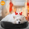 Munora XXL Pet Dog Bed - 35.43"L x 27.56"W Soft Fleece Cushion with Non-Slip Bottom & Plush Bone Toy - 2 of 4
