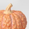 Medium Pumpkin Figurine - Hyde and EEK! Boutique™ - 3 of 3