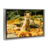 Stupell Industries Sleepy Fall Fox in Autumn Floating Frame Canvas Art - 2 of 4