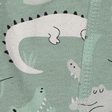 light sage and gray crocodile