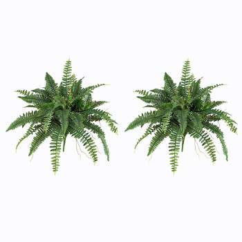 Boston Fern 2pk (40") - Nearly Natural