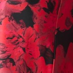 vivid red painterly bloom