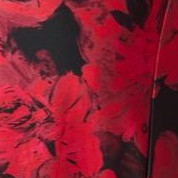 vivid red painterly bloom