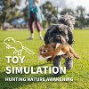 Allforpaws Classic - Dog Toys - Squeaky Dog Chipmunk Toys for Dogs - 4 of 4