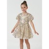 2Bunnies Christmas New Year Holiday Girl Gold Shimmer Sparkle Sequin Dress - 3 of 4