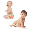 The Honest Company Clean Conscious Disposable Diapers Fall Vibes & Foxy Cozy Cool - (select size and Count) - image 2 of 4