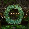 Hydrangea and Seedum Floral Wreath 32"D - 3 of 3