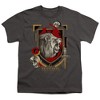 Boys' Short Sleeve Harry Potter Gryffindor Magicial Mischief Level Up Crest T-Shirt - 2 of 4