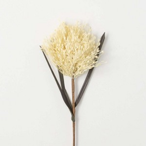 Sullivans Artificial Ivory-Colored Stout Reed Stem 32"H Off-White - 1 of 3