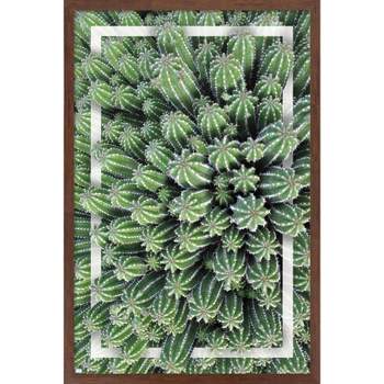 Trends International Cactus - Group Framed Wall Poster Prints