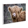 Stupell Industries Baby Cattle Licking Lips, 19" x 13" - 3 of 4