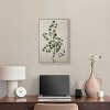 Art Remedy Eucalyptus Embroidery II Minimalistic Botanical and Floral Art Prints Framed - 2 of 4
