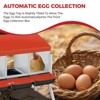Weatherproof Metal Chicken Nesting Box with 4 Holes & Removable Tray - Automatic Rollout Egg Collection - Easy Clean & Quick Assembly for Hens - 3 of 4