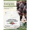 Courtside Market Fresh Farm Trees Evergreen 12.8oz Soy Wax Candle Glass Jar with Brushed Silver Metal Lid - 3 of 3