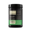 Optimum Nutrition L-Glutamine Muscle Recovery Powder, 1000 Gram, 194 Servings (Pack of 1) - 2 of 4