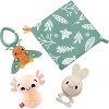 Fisher-Price Baby Toys So Many Senses Set, 4 Sensory Activities for Developmental Play for Newborns Ages 0+ Months - 2 of 3