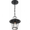Crystorama Lighting Andover 1 - Light Pendant in  Matte Black - 4 of 4