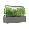 iDesign Countertop Self-Watering Plant Pot Center with Grow Light and 3 Plant Pots, Charcoal - 2 of 4