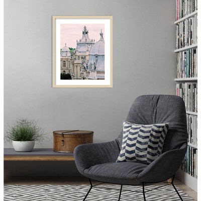 Paris Rooftops II Svelte Natural Framed Photography Print