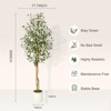 Garvee 5/6/7ft Artificial Olive Trees - Faux Silk Plants in White Planters with Wood Trunk & Moss, for Home/Office Decor, 1/2 PCS - 2 of 4