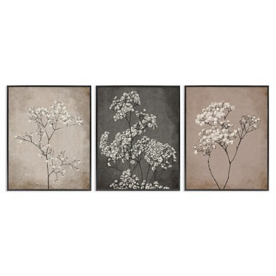 Stupell Industries Botanical Baby's Breath Herbs, 24" x 30"