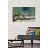 Trends International The Comedy Wildlife Photography Awards: Jacek Stankiewicz - Dispute Unframed Wall Poster Prints - 2 of 4