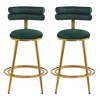 27.65" Velvet Armless Counter Stool (Set of 2) with Soft Back, Cushion, and Footrest for Kitchen, Dining Room, or Bedroom - 3 of 4