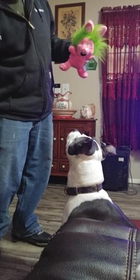 Guest review image 1 of 1, zoom in