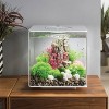 biOrb Feather Fern Set Aquarium Artificial Plants - Green - S - 3 of 3