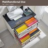 SinCiDo Farmhouse File Cabinet 2 Drawer w/Lock, Home Office Lateral Filing Cabinet Compatible Legal Letter A4 F4 Size Documents - 3 of 4