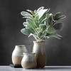 Sullivans Artificial Lambs Ear Bundle Plant 14" Green - 3 of 4
