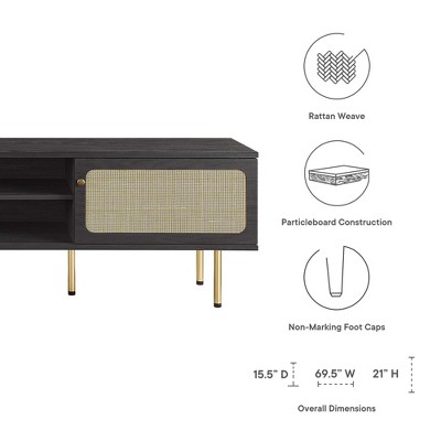 Cambria 70'' Black Rattan & Particleboard TV Stand with Cabinet