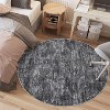 Coucheta Non-Slip Runner Rug,Machine Washable Low Pile Area Rug with Non-Shedding, for Hallway Kitchen Bathroom,Multi-Color & Size - 3 of 4