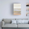 Trademark Fine Art - Suzanne Nicoll Sonoran 1 Canvas Art - 2 of 4