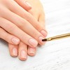 Unique Bargains Plaid Nail Painting Brushes for Home DIY Polish Painting Gold Tone Clear White - 2 of 4